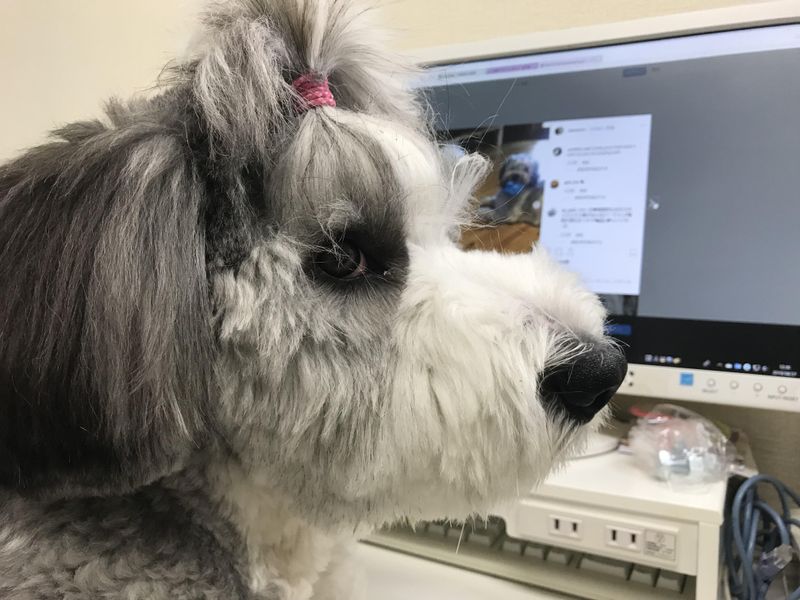 株式会社山本のアルバイト・バイト求人情報-04