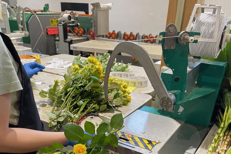 有限会社カントリーファーム花太郎 (工場)のアルバイト・バイト求人情報-02