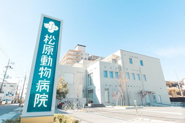 有限会社松原動物病院の求人・転職情報