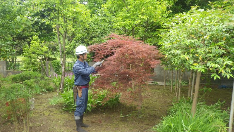 有限会社ヨネヤマプランテイションの求人・転職情報