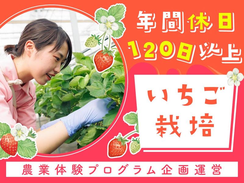 一般社団法人おおくままちづくり公社の求人・転職情報