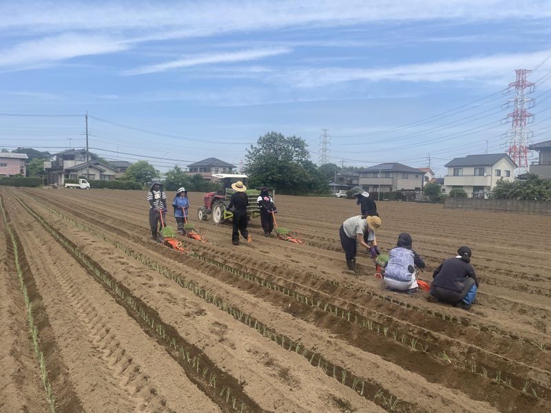 株式会社関田農園のアルバイト・バイト求人情報-02