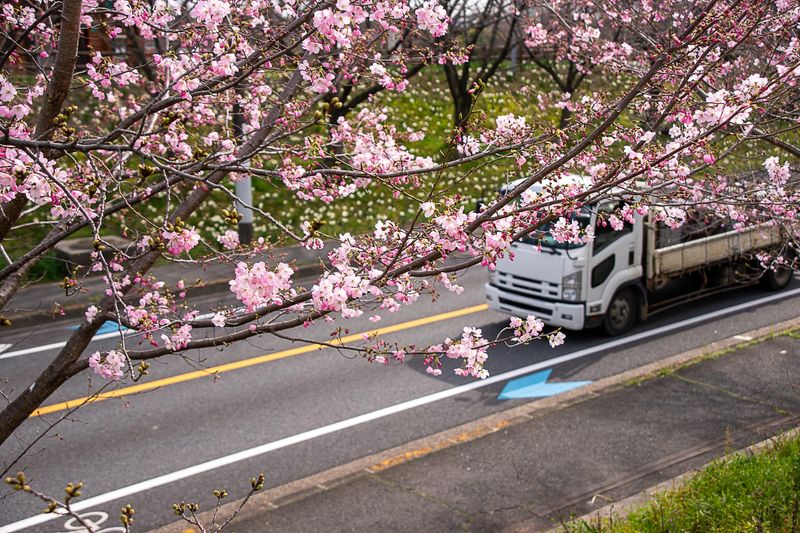 株式会社Ｍ＆Ｓ-0003の求人・転職情報