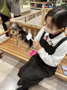 DCM重信店　動物の森のアルバイト・バイト求人情報-03