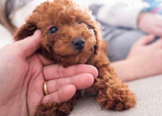 スーパービバホーム長久手店のアルバイト・バイト求人情報-03