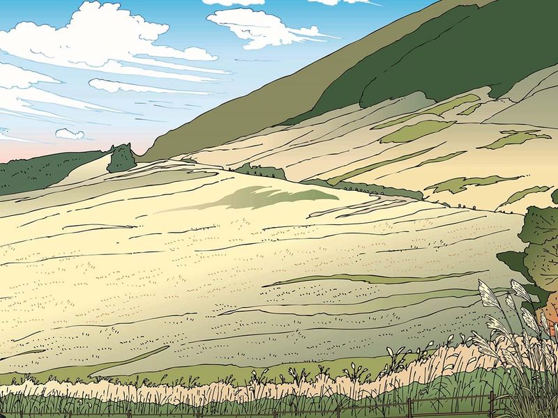 株式会社星野の求人・転職情報