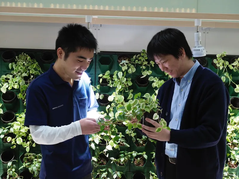 明治安田ビジネスプラス株式会社の求人・転職情報