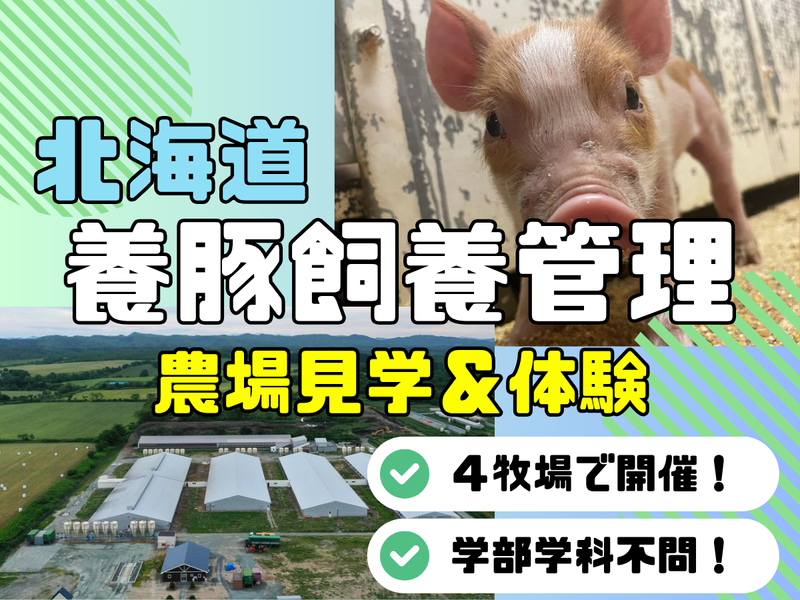 学部不問!上場グループの北海道の広大な子豚農場見学&仕事体験