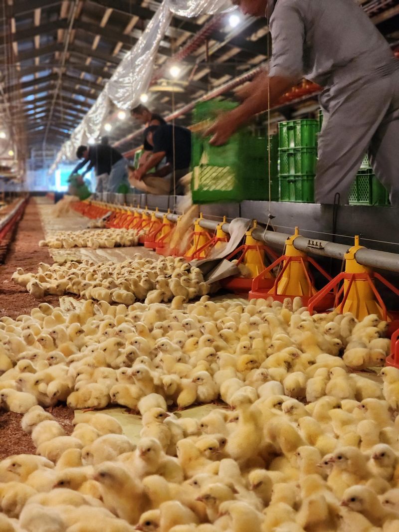 株式会社山坂-0007の求人・転職情報