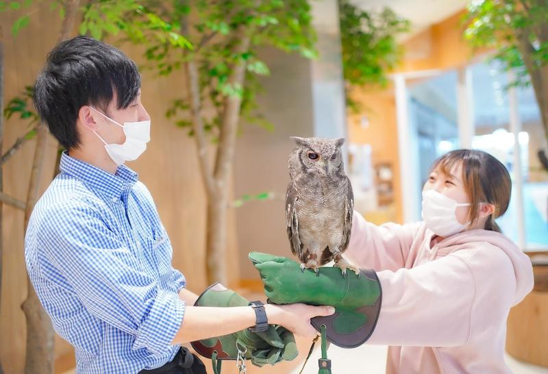 Moff animal cafe イオンモール新利府店のアルバイト・バイト求人情報-02