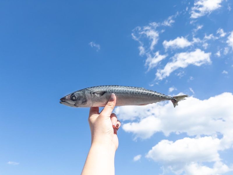 株式会社エスビートレード　営業所のアルバイト・バイト求人情報-03