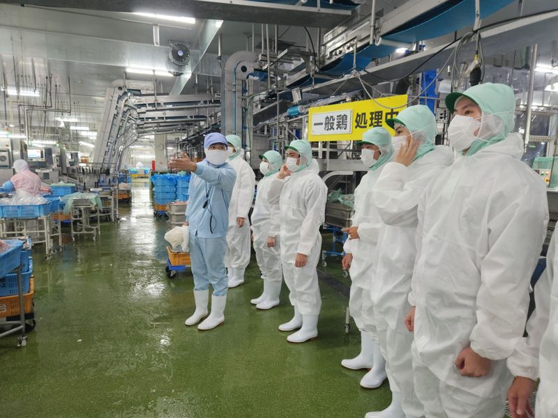 【理系学生向け】チキン製造の裏側!鶏肉製造工場見学コース