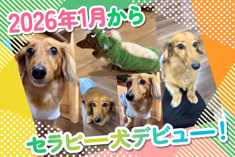 株式会社スマイルらいふけあの求人・転職情報