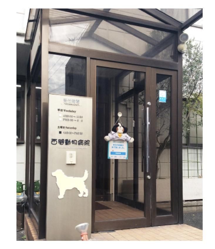 株式会社西間動物病院のアルバイト・バイト求人情報-04