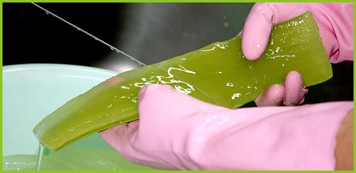 株式会社沖縄アロエのアルバイト・バイト求人情報-02