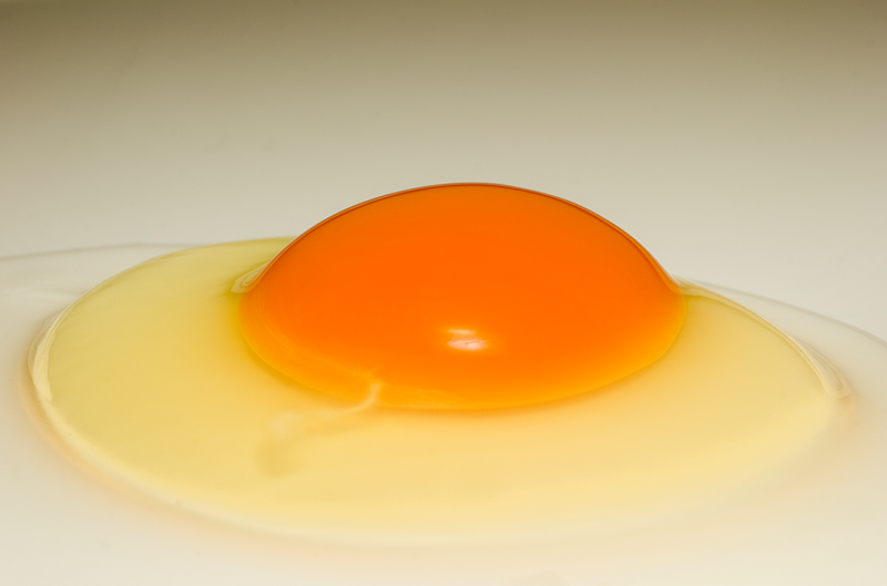 有限会社　桂ファームの求人・転職情報-04