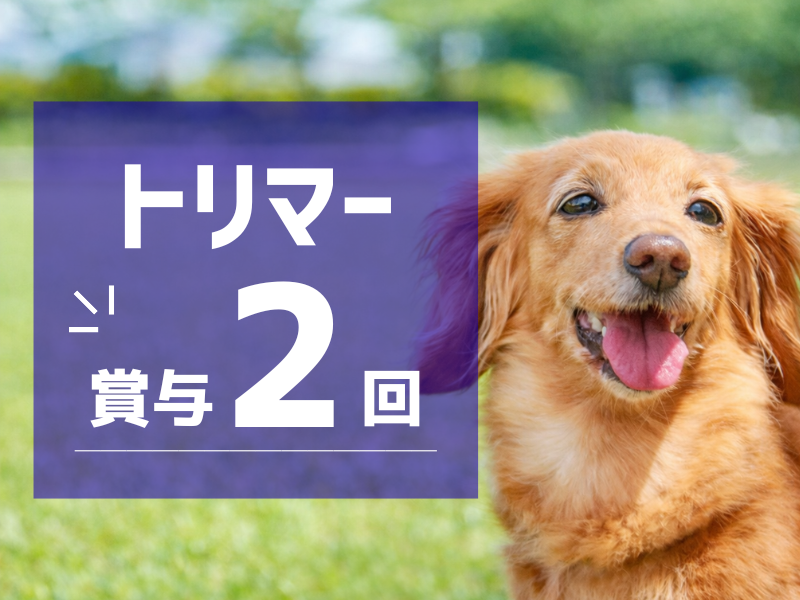 I's Dog 日進店のアルバイト・バイト求人情報-03