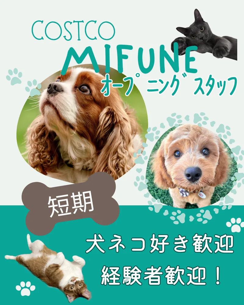コストコ御船のアルバイト・バイト求人情報