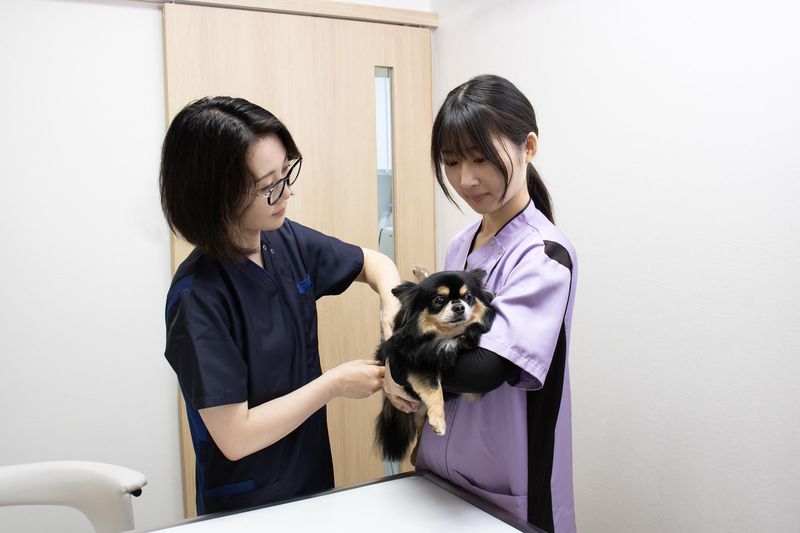 株式会社ジャパンペットコミュニケーションズの求人・転職情報