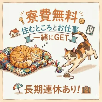 トランコムSC株式会社のアルバイト・バイト求人情報