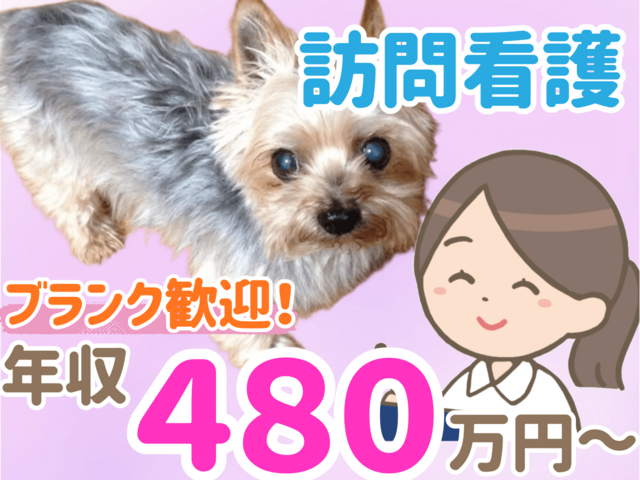 株式会社ぷらす　ぷらす訪問看護ステーションの求人・転職情報