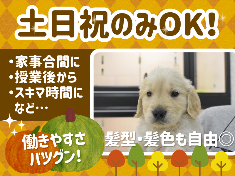 ワンラブ　埼玉寄居店のアルバイト・バイト求人情報-05