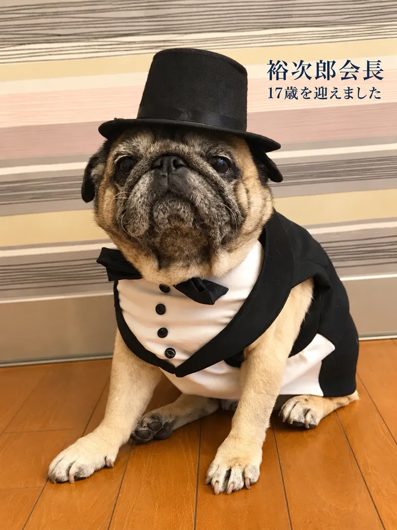 株式会社Ｄｒ．ＹＵＪＩＲＯの求人・転職情報
