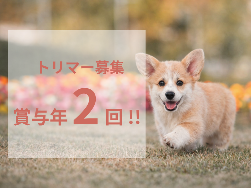 I's Dog 大治店のアルバイト・バイト求人情報-07