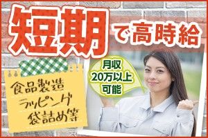 株式会社マイニングのアルバイト・バイト求人情報-02