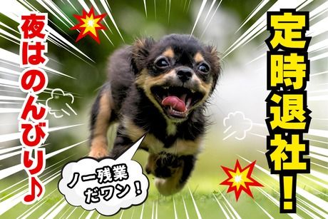 株式会社ヒューマンアイズの求人・転職情報