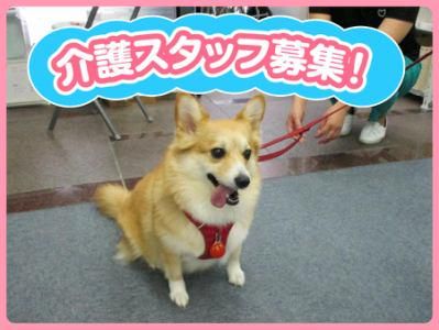 株式会社SORAの求人・転職情報