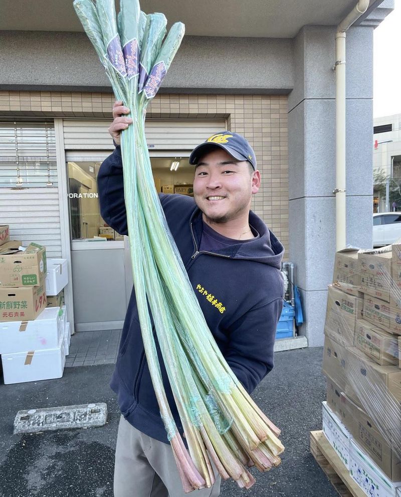 やおや植木商店　原田店のアルバイト・バイト求人情報-02