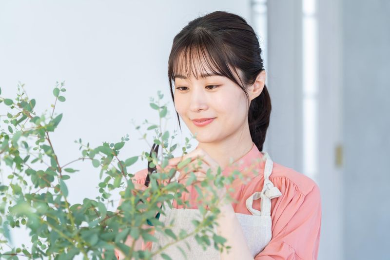 松戸駅ナカのフラワーショップ(派遣先)のアルバイト・バイト求人情報-12
