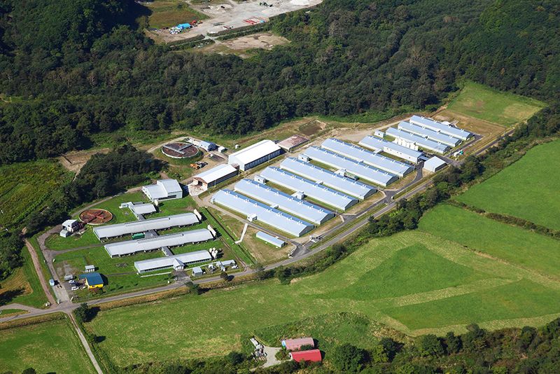 有限会社ビィクトリーポークの求人・転職情報