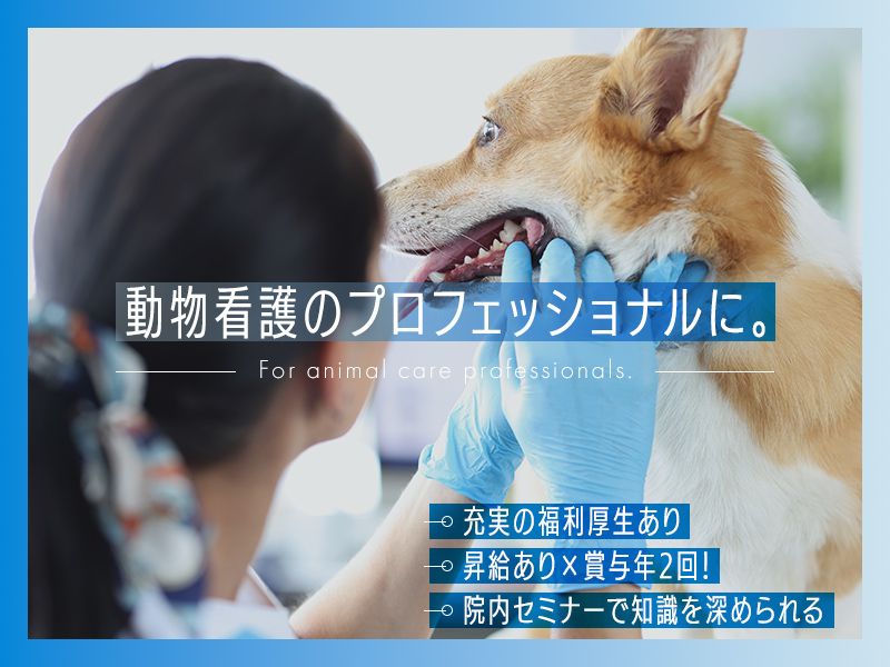 有限会社なんごくアニマルクリニック