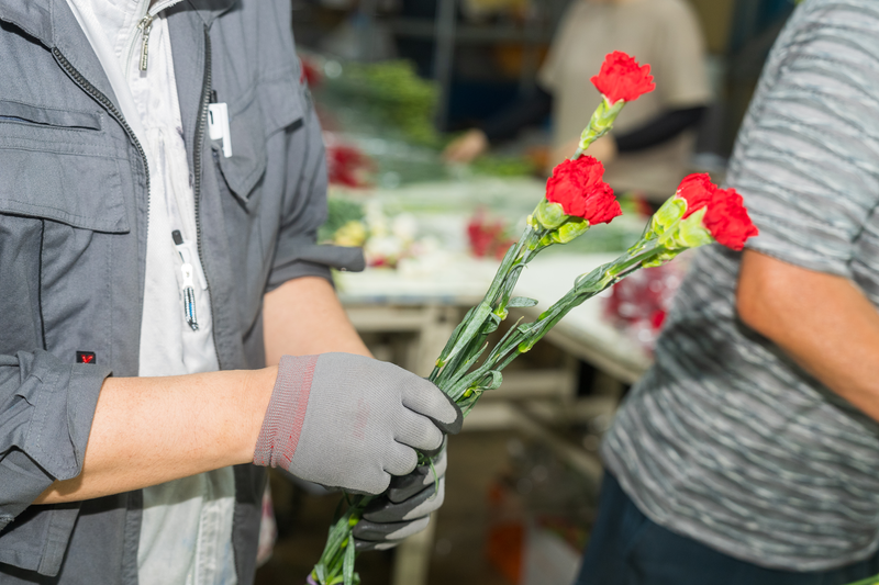 株式会社クラシックの求人・転職情報