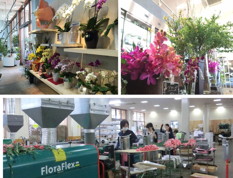 株式会社フランソア(花事業部)の求人・転職情報-05