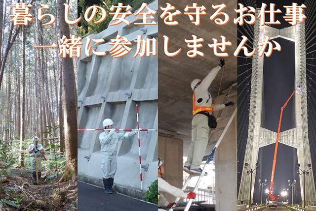 伸栄開発株式会社の求人・転職情報