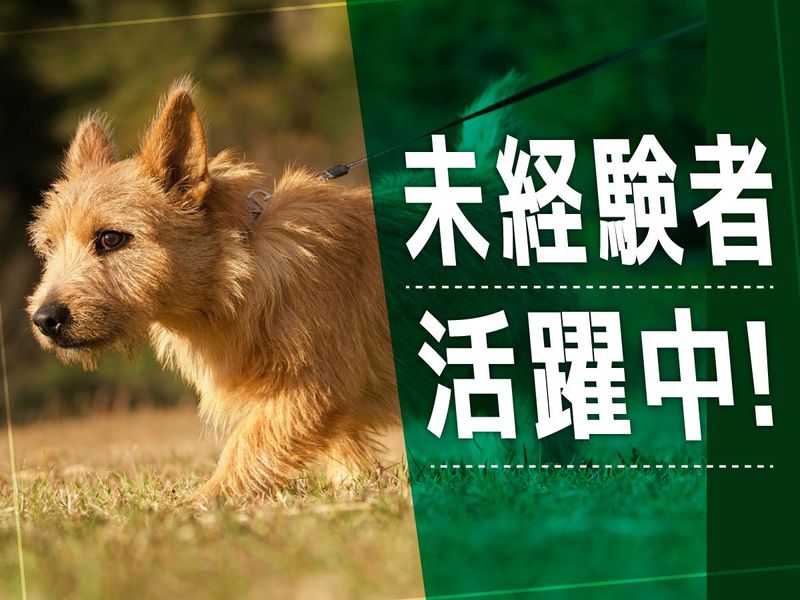 株式会社SAYONOの求人・転職情報