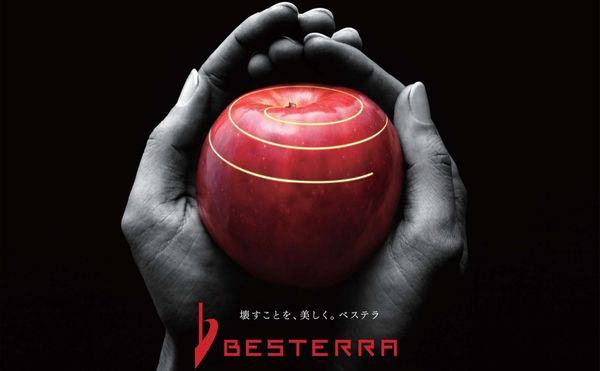 ベステラ株式会社の求人・転職情報