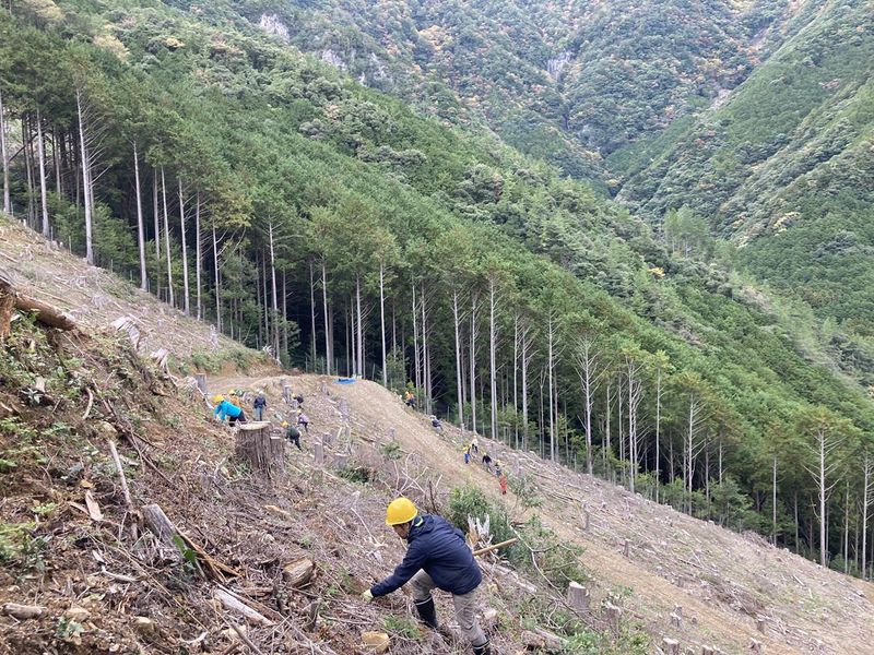 持続可能な森林づくりについてわかる現場見学会【北海道開催】