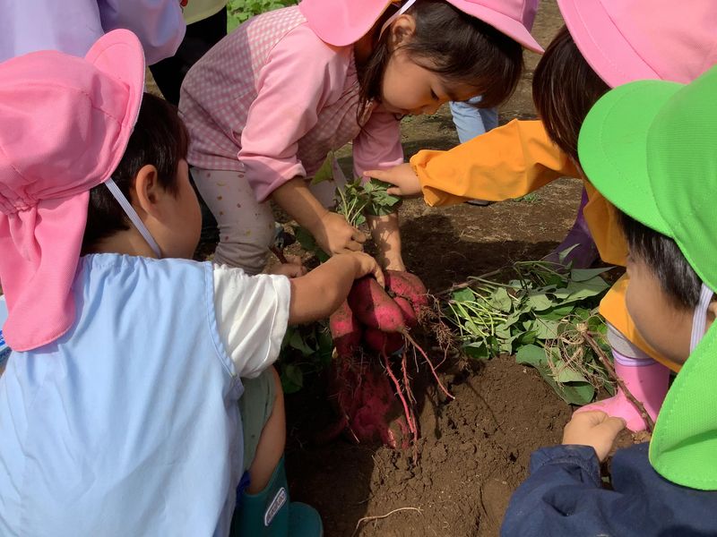 レイほいくえんの派遣求人情報