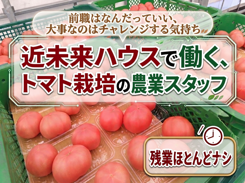 Ｔファームいしい株式会社の求人・転職情報