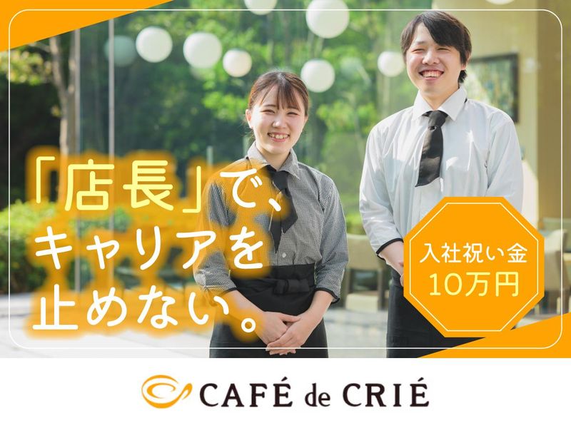 C-United株式会社の求人・転職情報