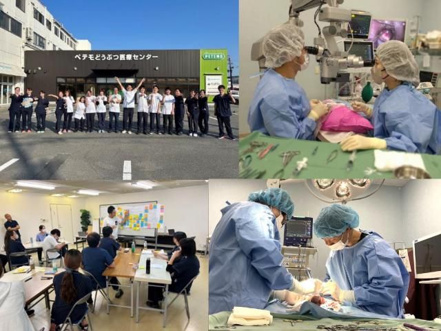 ペテモどうぶつ医療センター　名古屋のアルバイト・バイト求人情報-30