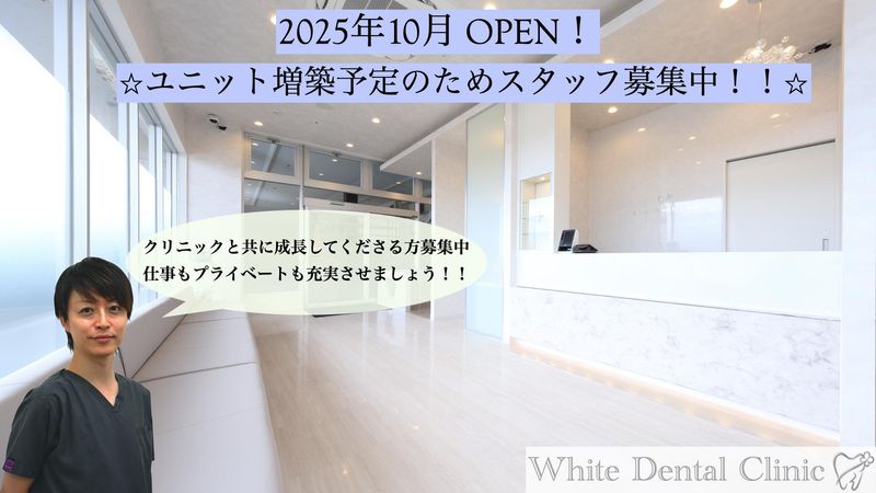 ホワイトデンタルクリニック守谷の求人・転職情報