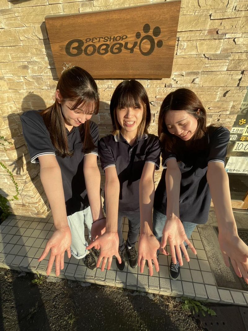 ペットショップボビー旭川店のアルバイト・バイト求人情報-02