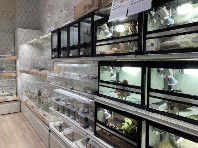 ワンラブ ホームワイド ペット&グリーン和白店のアルバイト・バイト求人情報-03