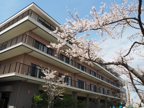 医療法人社団 城東桐和会　タムスさくら病院江戸川の求人2