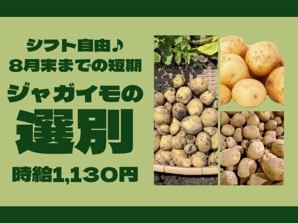 北海道ハピネス株式会社のアルバイト・バイト求人情報-15